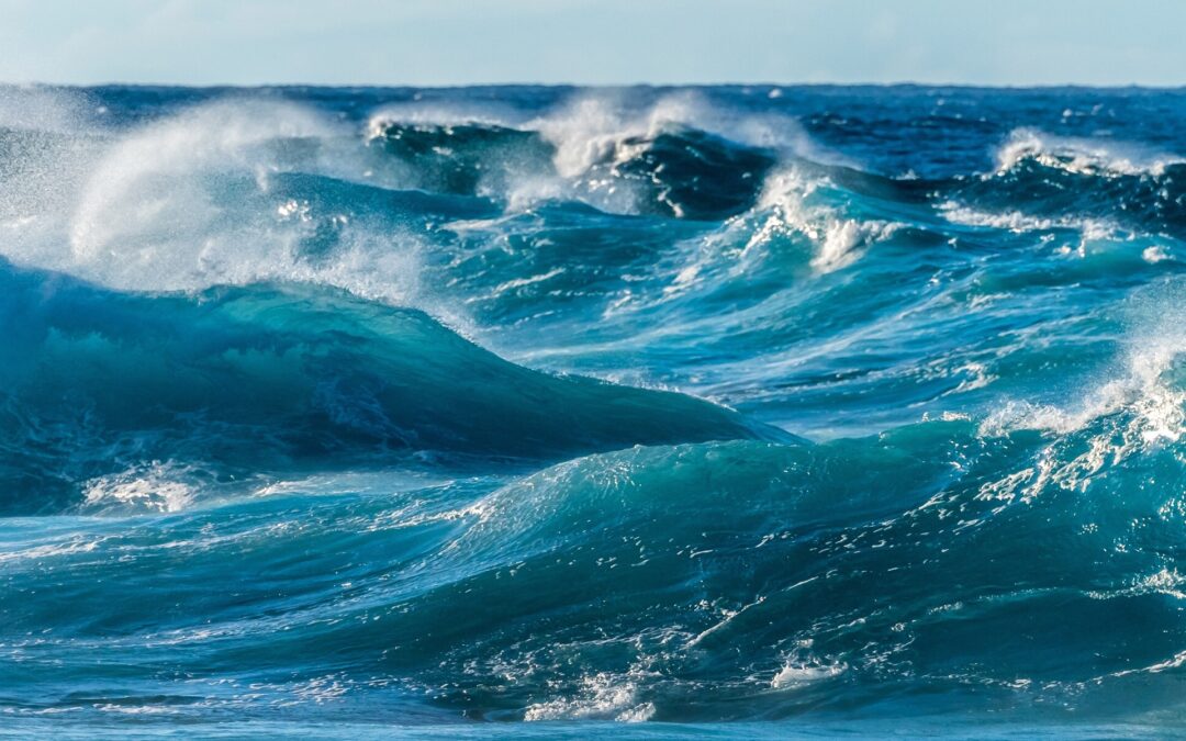 Bin ich der Ozean, oder die Welle? Oder Beides?