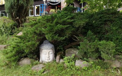 Temporary Monastery: Out of the comfort zone, right into life!