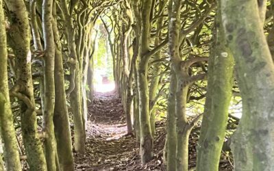 „How can i bear the suffering?“        (1 – 3)